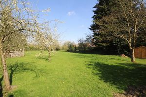 Photo 24- click for photo gallery